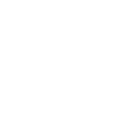 The Property Institute logo white